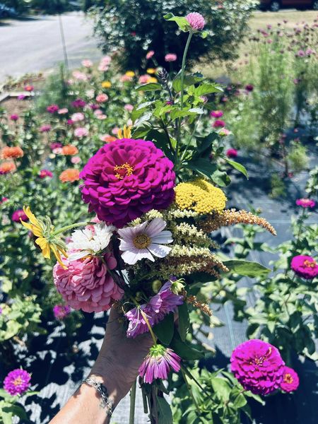 a hand holding a bunch of flowers with a blurry yard full of flowers in the background