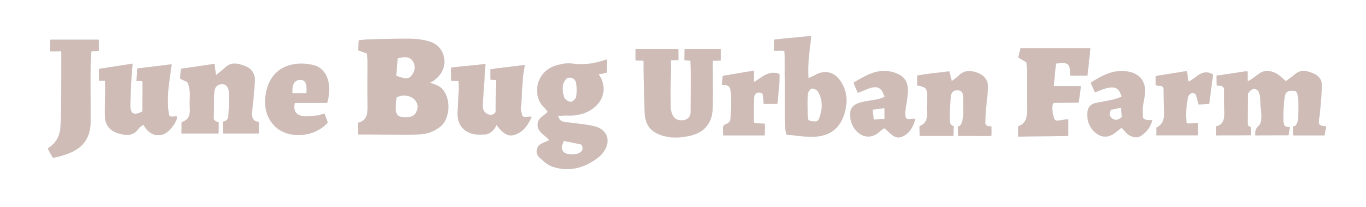 June Bug Urban Farm logo