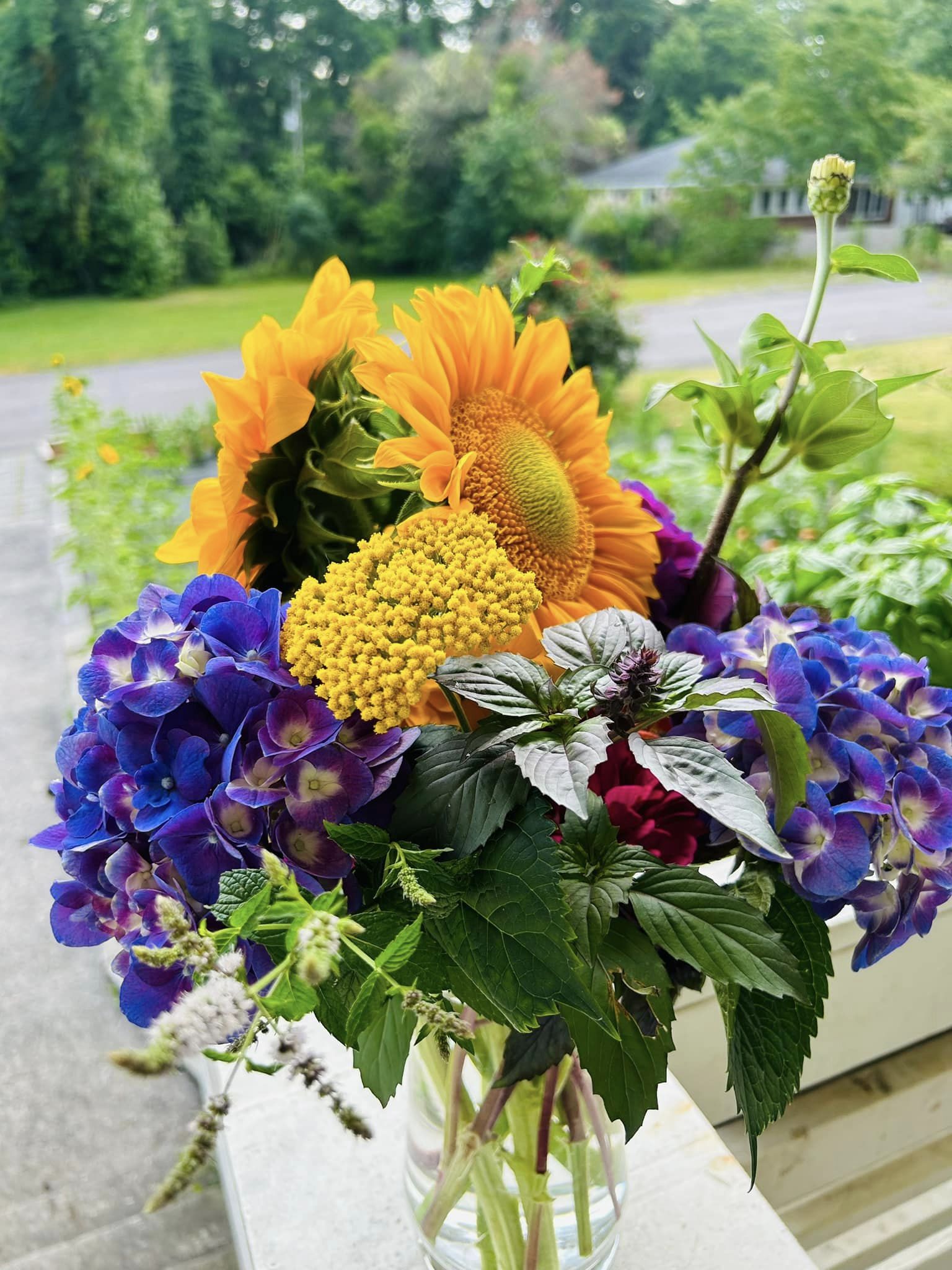 sunflowers and purple hydrangeas in a glass vase with a yard in the background